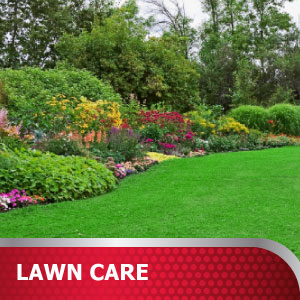 Lawn Care Products